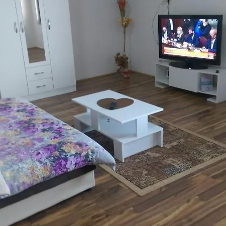 Stan Na Dan Gornji Milanovac-centar-nova Gradnja 公寓