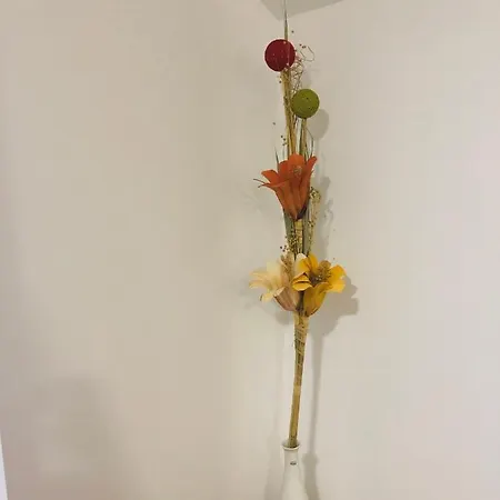 公寓 Stan Na Dan Gornji Milanovac-centar-nova Gradnja 上米拉诺瓦茨